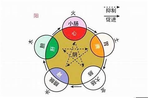 自己五行屬性|如何知道一個人的五行屬什么